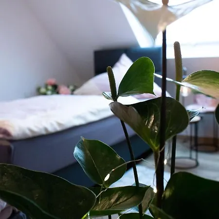 Gaestewohnung Rheindahlen *