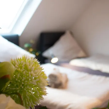 شقة Gaestewohnung Rheindahlen بوروسيا مونشنغلادباخ